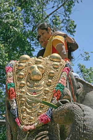 Elephant Ride