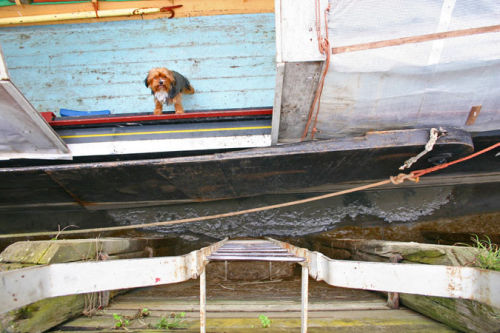 Faversham Creek2
