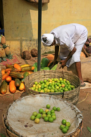 Fruit Trader