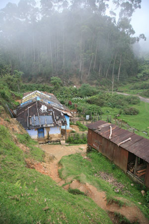 Houses at Top Station