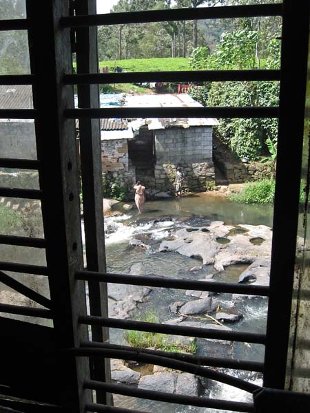Ladies in River
