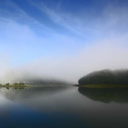 Lake Periyar mist