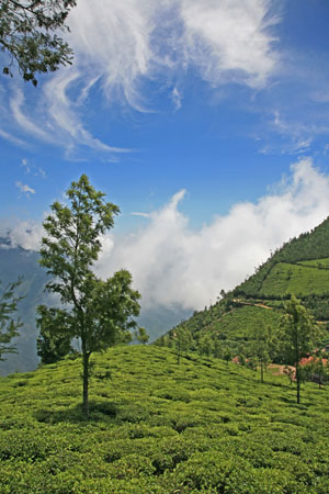 Looking into Tamil Nadu valley from Kolukkamalai