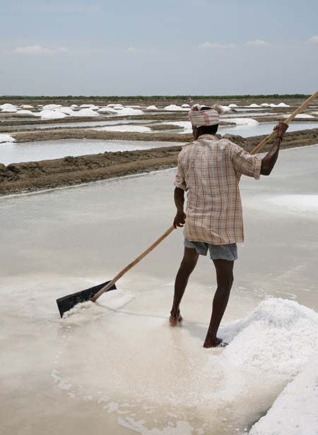 Making Salt