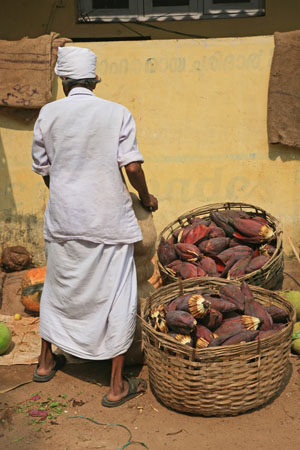 Market Trader