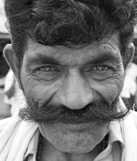 Mysore Moustache