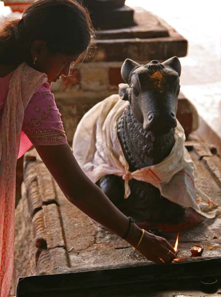 Nandi Offering