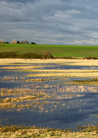 Oare Marsh Morning