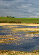 Oare Marsh Morning