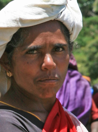 Tea Worker 2