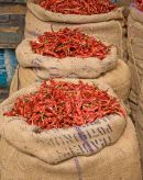 chillies