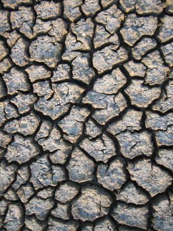 cracked mud3