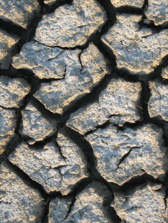 cracked mud4