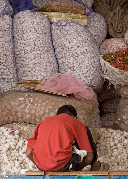 Sorting garlic in Mysore