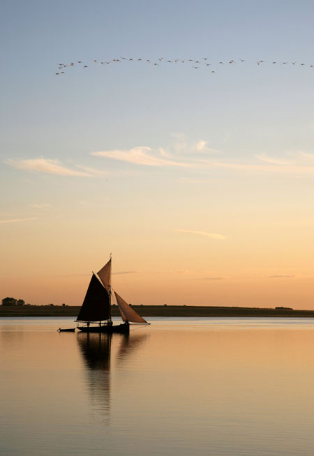 Birds of Dawning