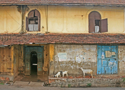 spice market door with goats