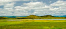 Wetlands
