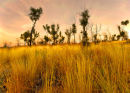 Sunset, Porcupine Gorge