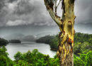 Copperlode Dam
