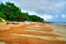 Quarantine Bay