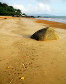 Quarantine Bay