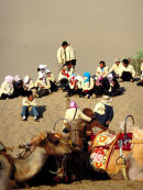 Camel Drivers