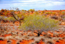Red dirt