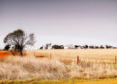 Farm house, Back road