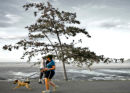 Dog walk