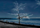 Ice - Cairns