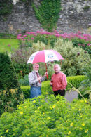 Aberglasney Gardens