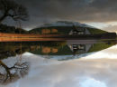 Mirror Pool