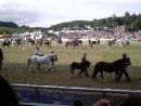 The Royal Welsh Show
