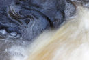 Rushing water