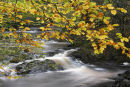 Autumn colour, New Mills