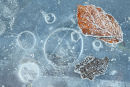 Ice patterns