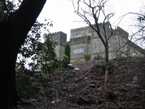 View from the site of installation