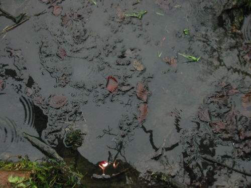 This is the Sample point at the site of a Failed adaption of an aeration system to a Ceptic Tank.