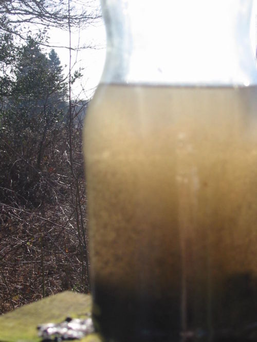 Water sample BEFORE the JEWEL System was installed.