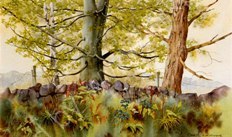 'Roadside Trees' (Featured in the May 1999 issue of 'Leisure Painter' magazine.)