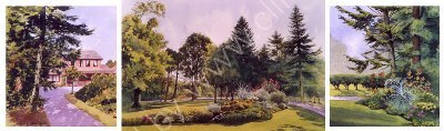 'Wilko Park'