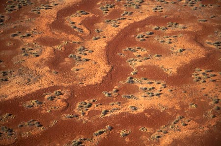 Desert Patterns near William Creek, Outback, South Australia, Australia - aerial 