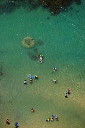 Snorkeling, Low Isles, Great Barrier Reef Marine Park, near Port Douglas, North Queensland, Australia - aerial 