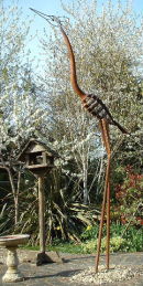 Goliath Heron