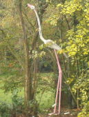 big flamingo
