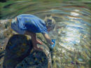 Rockpool Light 30cm x42cm