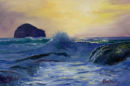 High Tide Surf