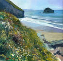 Clifftop Trebarwith