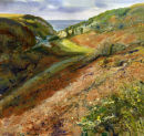 Trebarwith Strand  Valley