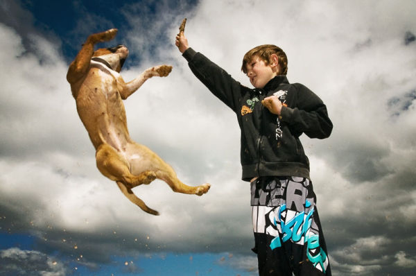 Go Fetch
